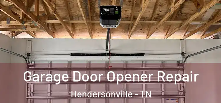  Garage Door Opener Repair Hendersonville - TN