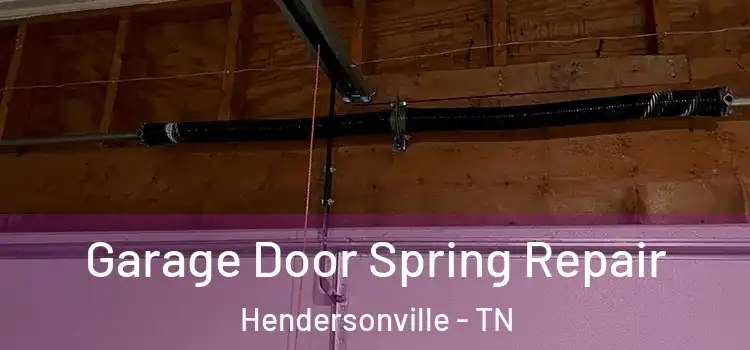  Garage Door Spring Repair Hendersonville - TN