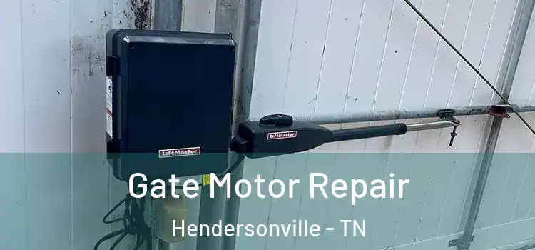 Gate Motor Repair Hendersonville - TN