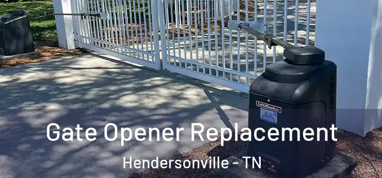 Gate Opener Replacement Hendersonville - TN