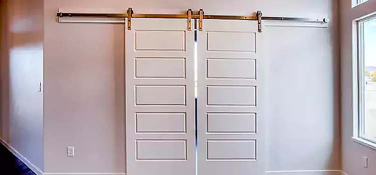 Glass Barn Door with Installation Hardware Kit Hendersonville
