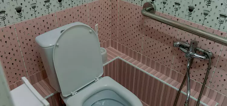 Meeting Diverse Needs With Accessible Restroom Solutions in Hendersonville, TN