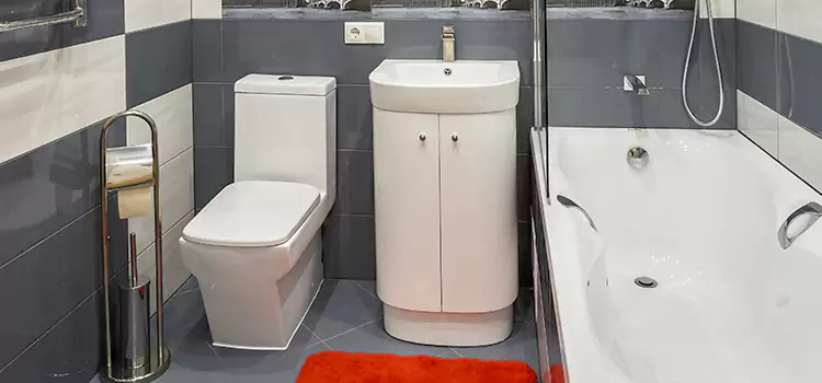 Hansgrohe Shaving Mirror Hendersonville