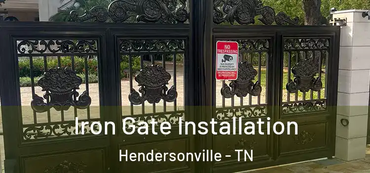 Iron Gate Installation Hendersonville - TN