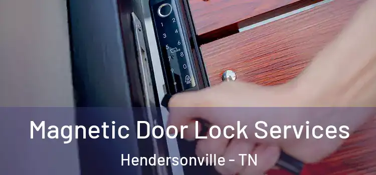 Magnetic Door Lock Services Hendersonville - TN