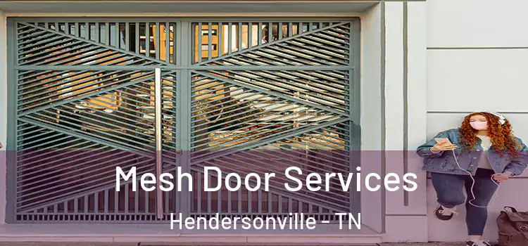 Mesh Door Services Hendersonville - TN
