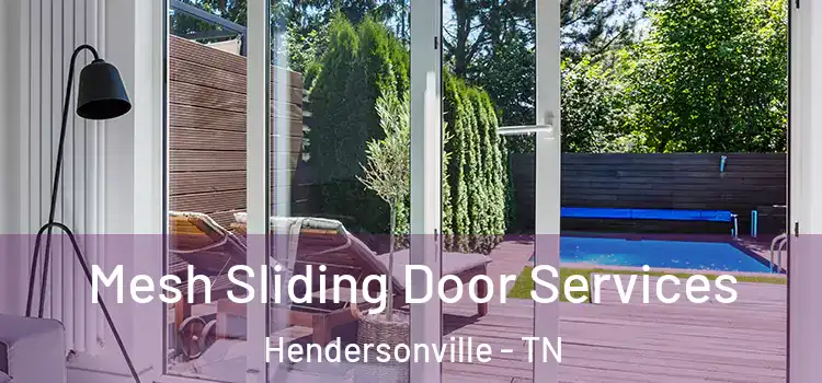 Mesh Sliding Door Services Hendersonville - TN