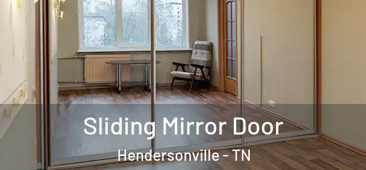  Sliding Mirror Door Hendersonville - TN